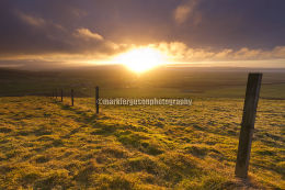 Harray sunburst