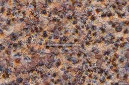 Spotty rust