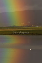 Harray rainbow