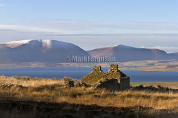 Derelict cottage