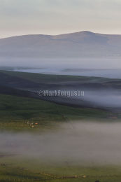 Ward Hill at dawn