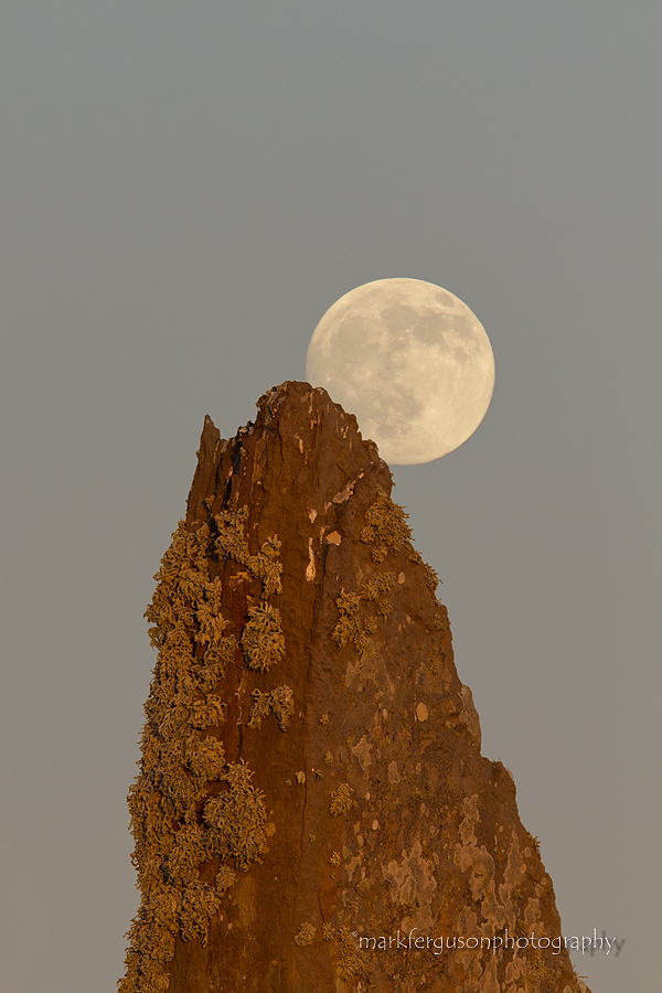 Full moon