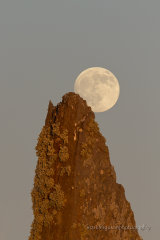 Full moon