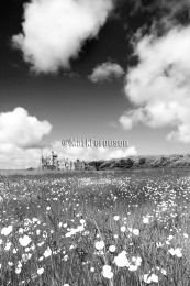 Balfour Castle in spring