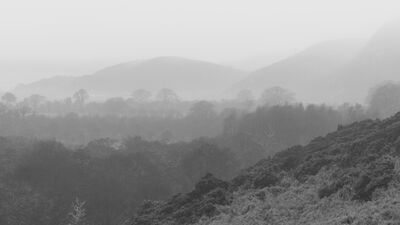 Misty Strath Fleet