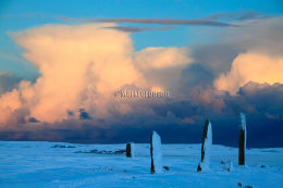 Ring of Brodgar in winter
