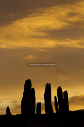 Boxing Day sunrise