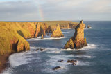 November rainbow