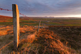 West Mainland vista