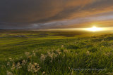 West Mainland sunset