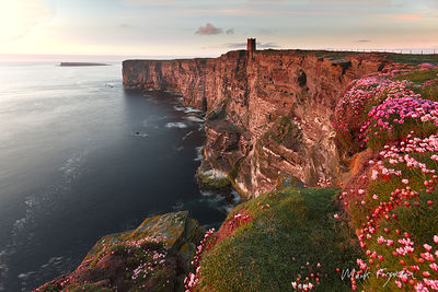 Marwick in June