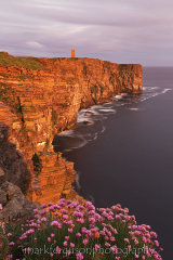 Marwick thrift