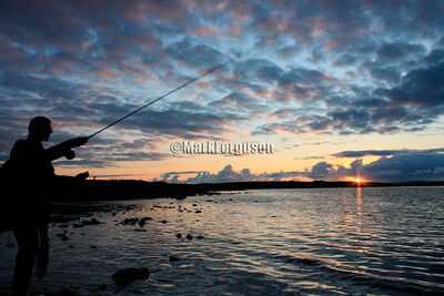 Midsummer night fishing
