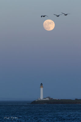 Moonrise over Graemsay Lighthouse