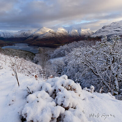 December snow