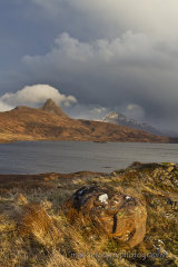 Stac Pollaidh and Cul Beag