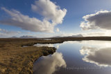 Ben Loyal and Ben Hope