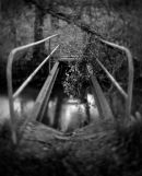 Dangerous Crossing!.