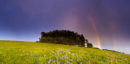 Rainbow Over May Hill.