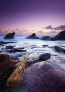 Flotsom at Treganhawke Beach Whitsand Bay Cornwall UK