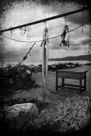 Fish Drying