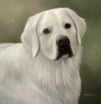 Original Pastel Painting of Fynn.