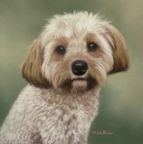 Original Pastel Painting Of Ruby The Cavapoo.