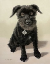 Original Pastel Painting Of Fergus The Schnauzer.