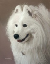 Original Pastel Painting Of Dexter The Samoyed.