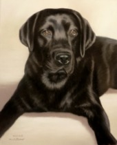 Original Pastel Painting Of Oscar.