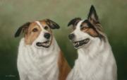 Original Pastel Painting of Pip & Finn.
