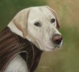 Original Pastel Painting Of Tucker.