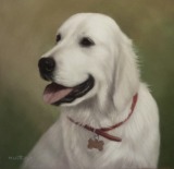 Original Pastel Painting of Redford.