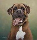 Original Pastel Painting of Willy the Boxer