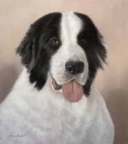 Original Pastel Painting Of Huckleberry the Newfoundland