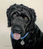 Original Pastel Painting Of Buster.