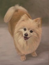 Original Pastel Painting Of Kai The Pomeranian.