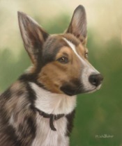 Original pastel painting of Cal the Sheepdog.