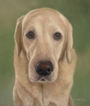 Original Pastel Painting Of Kodiak.