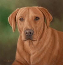 Original Pastel Painting Of Bonnie.