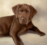 Original Pastel Painting Of Jinnie the Chocolate Labrador.