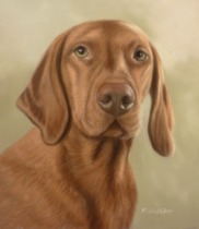 Original Pastel Painting Of Luca The Hungarian Vizsla.