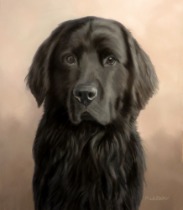 Original Pastel Painting Of Newfoundland.