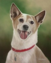 Original pastel painting of Scooter.
