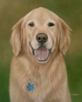 Original Pastel Painting Of Simon The Golden Retriever.