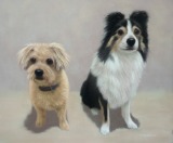 Original Pastel Painting O Bear & Ziggy.