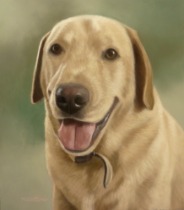 Original Pastel Painting Of Smudge.