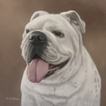 Original Pastel Painting Of Vanna the Bulldog.