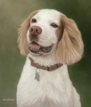 Original Pastel Painting Of Alfie.