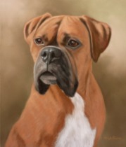 Original Pastel Painting Of Judge the Boxer.